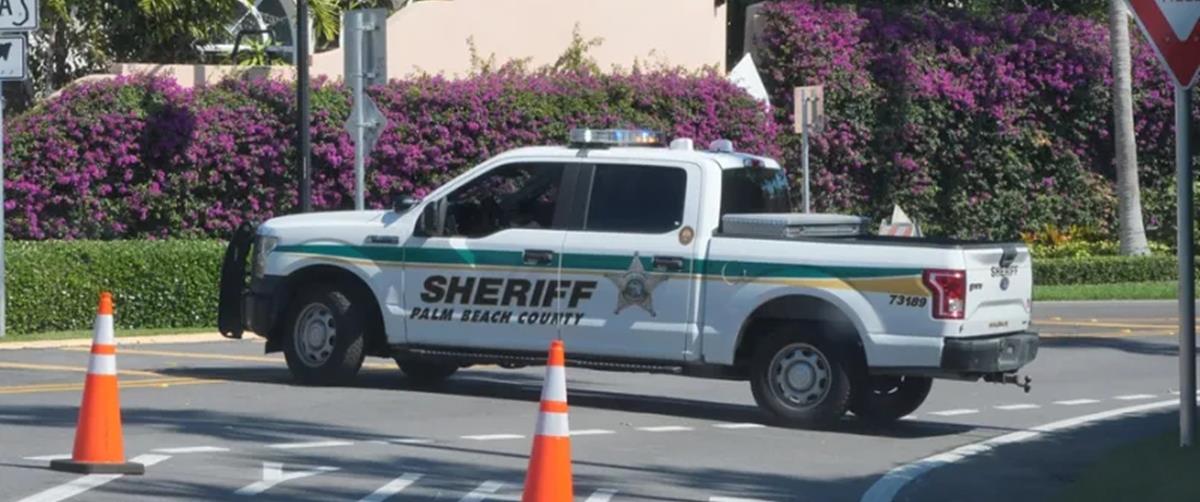 5410214871748312 cats