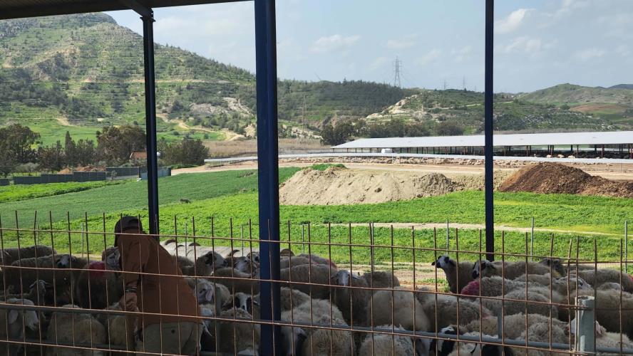 Έ&kappa;&tau;&alpha;&kappa;&tau;&eta; &sigma;ύ&sigma;&kappa;&epsilon;&psi;&eta; &upsilon;&pi;ό &tau;&omicron;&nu; &Pi;&rho;ό&epsilon;&delta;&rho;&omicron; &gamma;&iota;&alpha; &tau;&omicron;&nu; &alpha;&phi;&theta;ώ&delta;&eta; &pi;&upsilon;&rho;&epsilon;&tau;ό-&Epsilon;&nu;&eta;&mu;&epsilon;&rho;ώ&nu;&epsilon;&tau;&alpha;&iota; &gamma;&iota;&alpha; &tau;&alpha; &mu;έ&tau;&rho;&alpha; &kappa;&alpha;&iota; &tau;&eta;&nu; &kappa;&alpha;&tau;ά&sigma;&tau;&alpha;&sigma;&eta; &sigma;&tau;&iota;&sigmaf; &kappa;&tau;&eta;&nu;&omicron;&tau;&rho;&omicron;&phi;&iota;&kappa;έ&sigmaf; &mu;&omicron;&nu;ά&delta;&epsilon;&sigmaf;