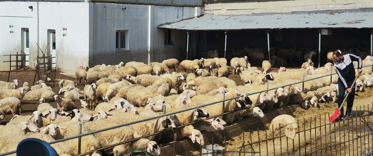 5410751165890171 635068309 902863522448585 4036591927634824927 n (1)