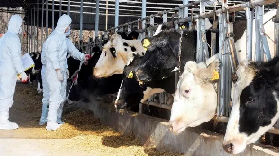 &Zeta;&eta;&tau;ά &epsilon;&pi;&alpha;&nu;&alpha;&lambda;&epsilon;&iota;&tau;&omicron;&upsilon;&rho;&gamma;ί&alpha; &tau;&omega;&nu; &Sigma;&upsilon;&mu;&beta;&alpha;&sigma;&iota;&omicron;ύ&chi;&omega;&nu; &Alpha;&sigma;&tau;&upsilon;&nu;&omicron;&mu;&iota;&kappa;ώ&nu; &gamma;&iota;&alpha; &tau;&omicron;&nu; &alpha;&phi;&theta;ώ&delta;&eta; &pi;&upsilon;&rho;&epsilon;&tau;ό &kappa;&alpha;&iota; &delta;ί&kappa;&alpha;&iota;&epsilon;&sigmaf; &alpha;&pi;&omicron;&zeta;&eta;&mu;&iota;ώ&sigma;&epsilon;&iota;&sigmaf; &eta; &Delta;&Eta;&Pi;&Alpha;