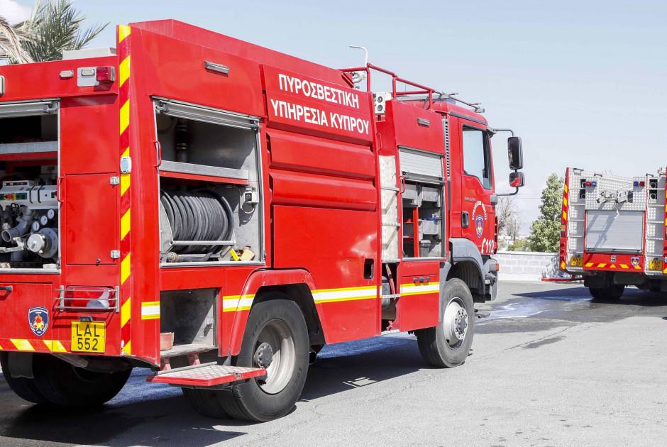 5410931720194429 image