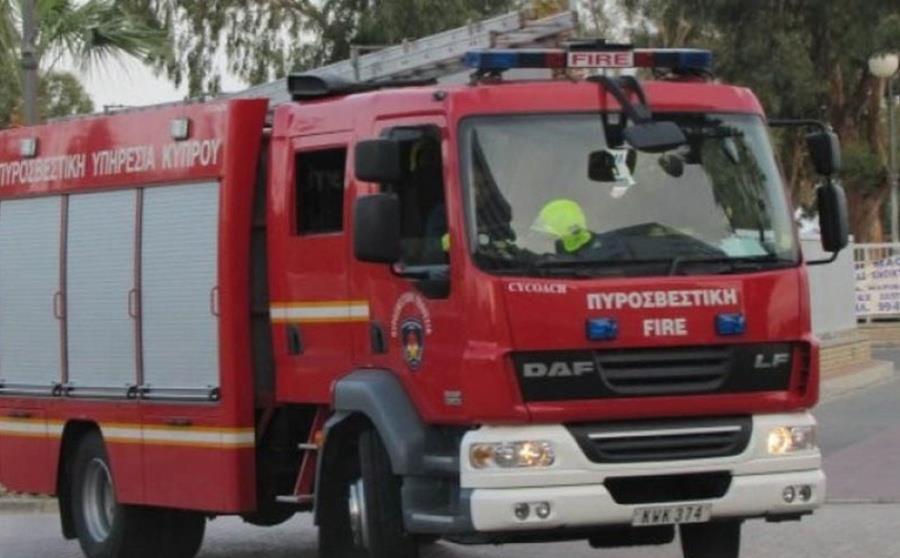 5410991800136756 cats