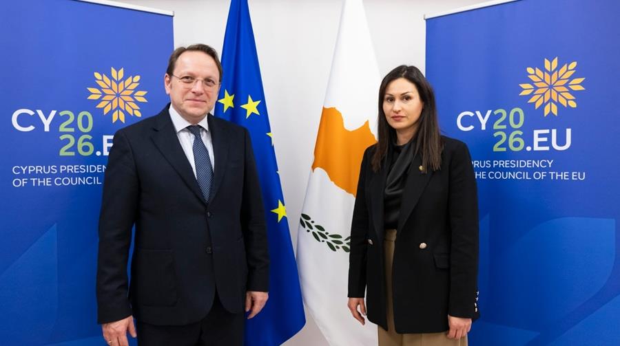 5411026492270887 cats