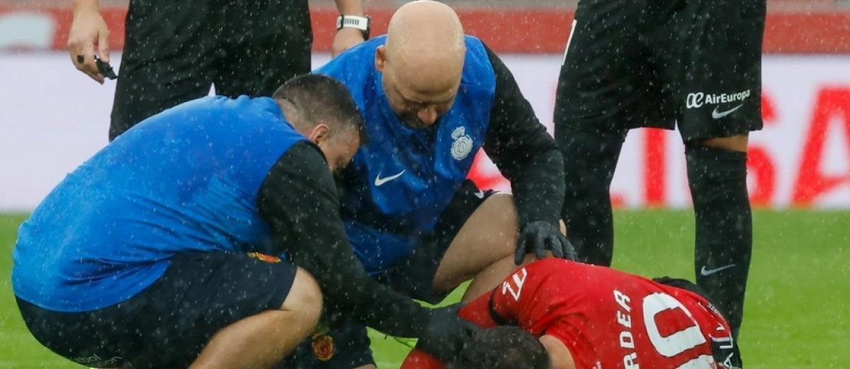 5411091965191415 cats