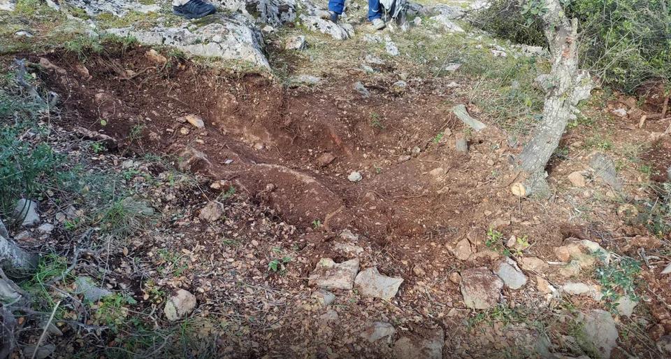 5411119162647844 image