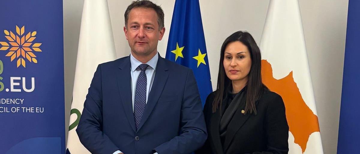 5411487086568235 cats