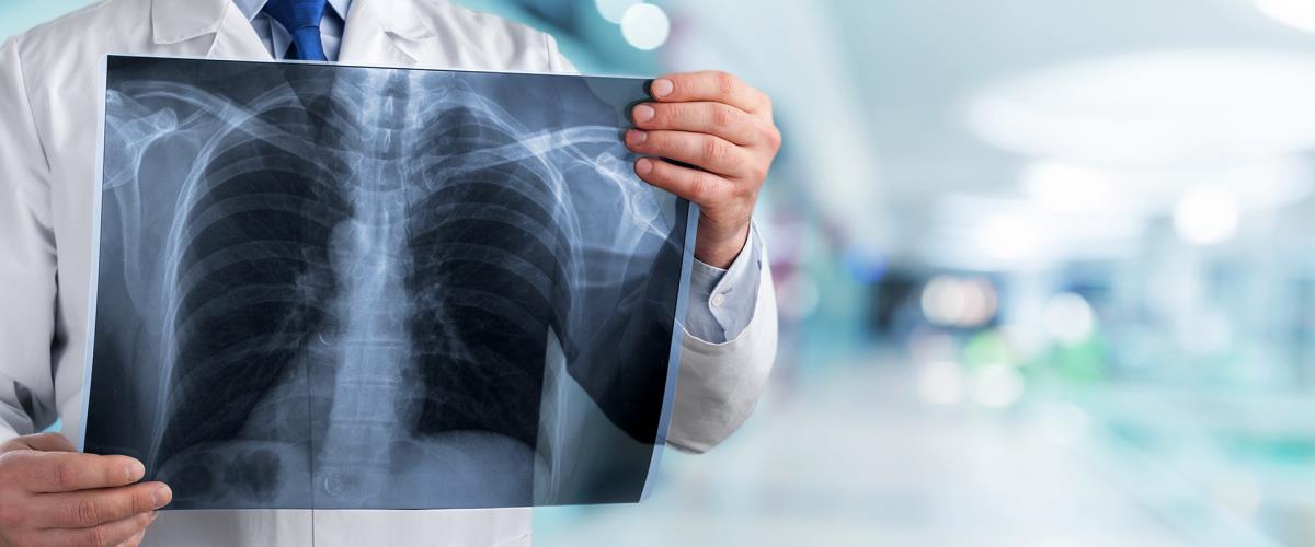 5411864307607184 image