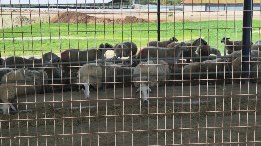 5411905113180453 640399121 2470543713387746 2547294246137859391 n (1)