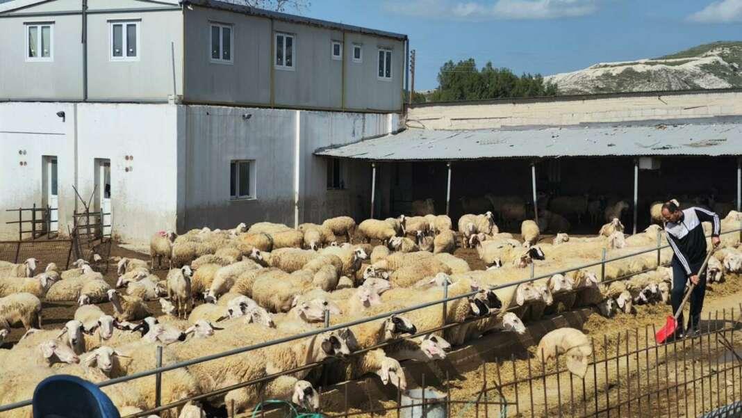 5411968163948729 image