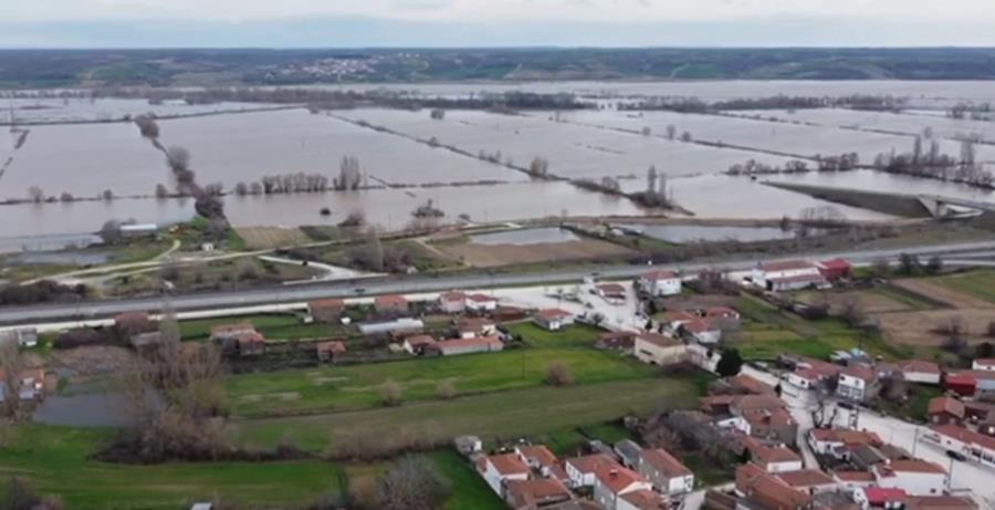 5412396105094733 cats