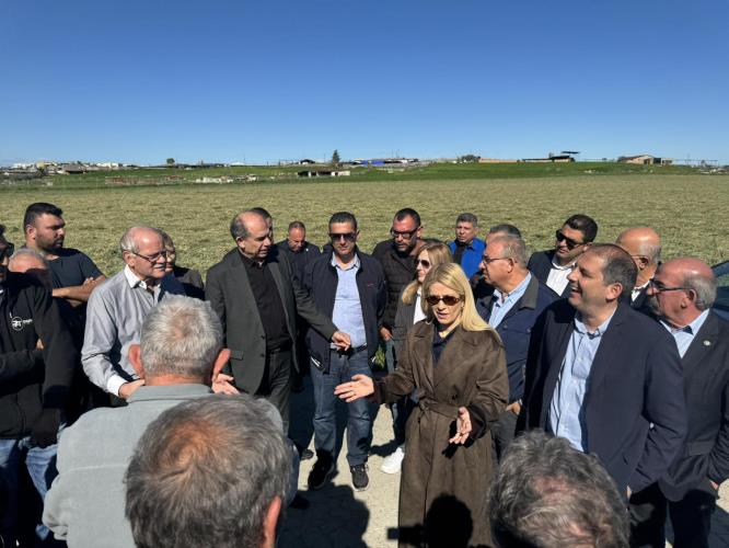 5412528643967391 image