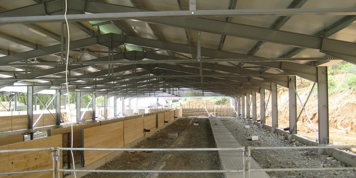 5412544925502420 image