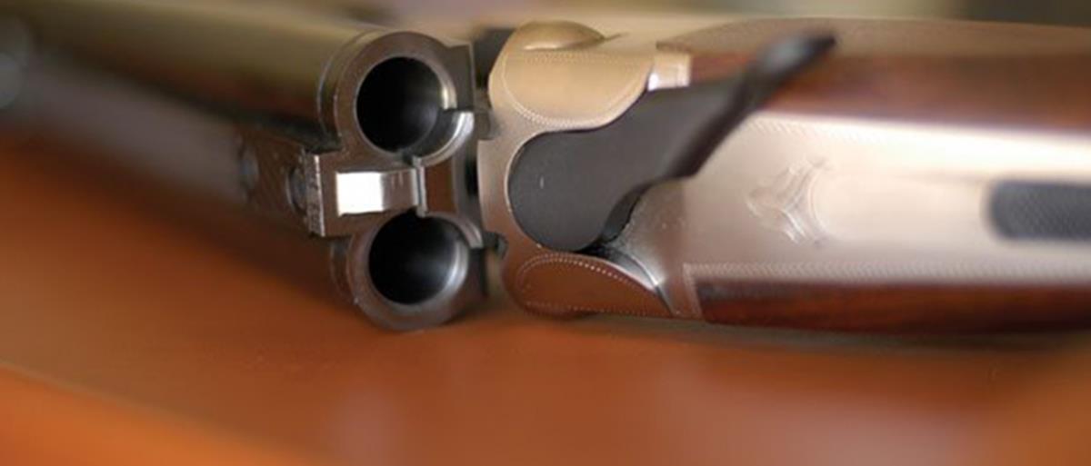 5412579659675987 cats