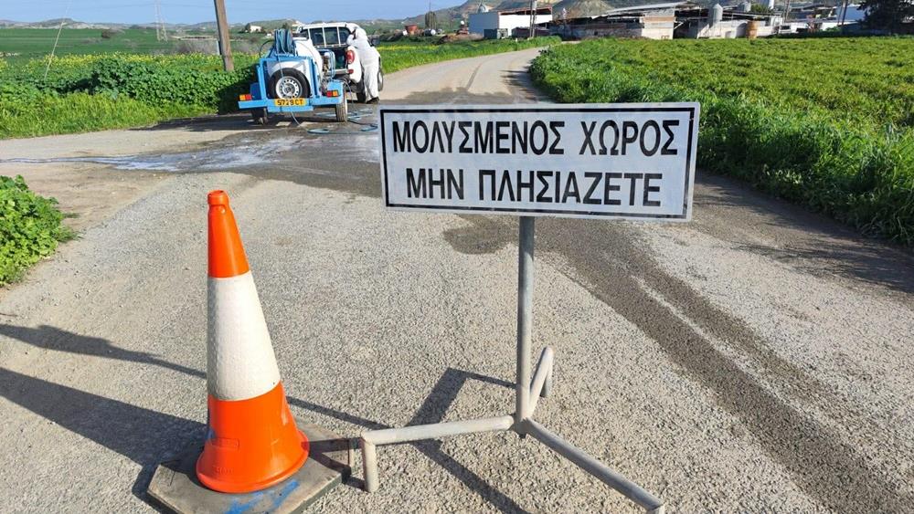 5412611276959826 cats