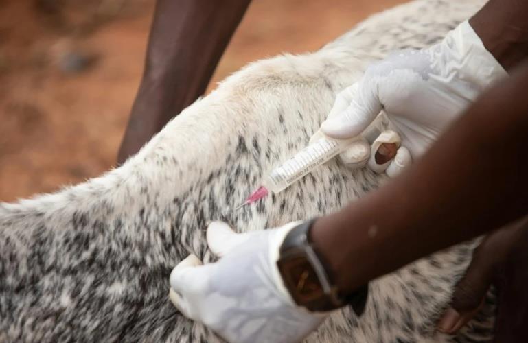 5412778610927330 emvolia afthodi piretou