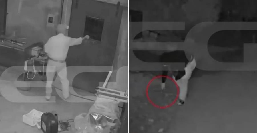 5412796481246458 maketa-krhth-ktinotrofos