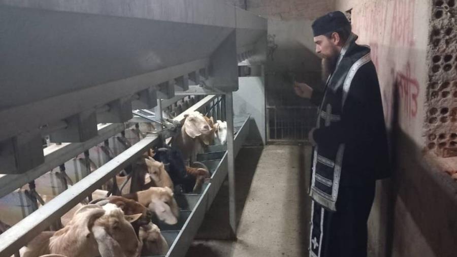 5413313412592023 643289914 122167018526750593 8416056676199554420 n