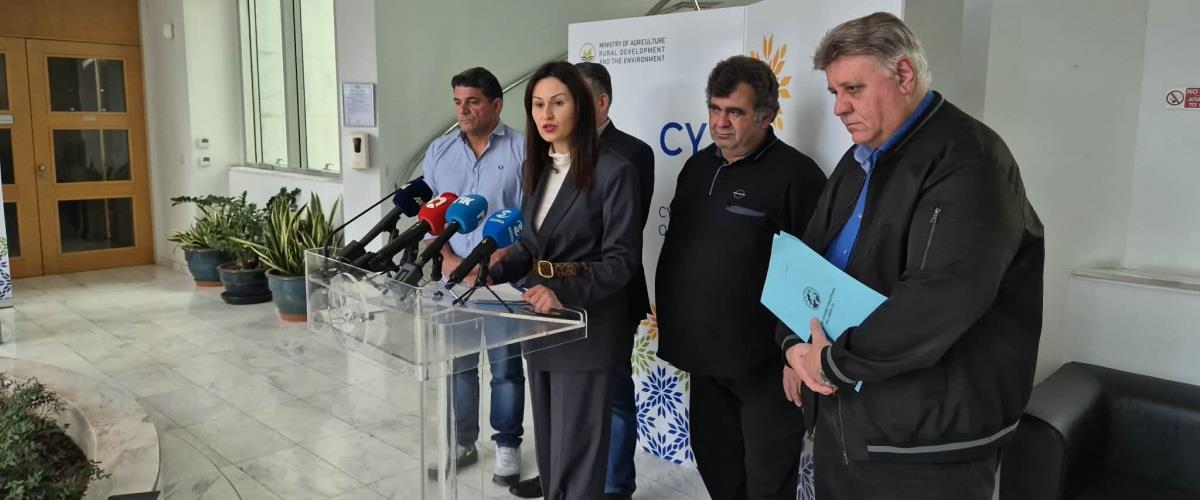 5413469552791943 6d7eea81-463f-4fcc-83bc-943afa76902c