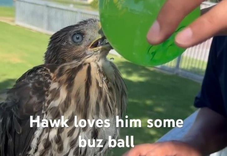 5413504353237623 641639453 1225331789775429 3836173539396952402 n