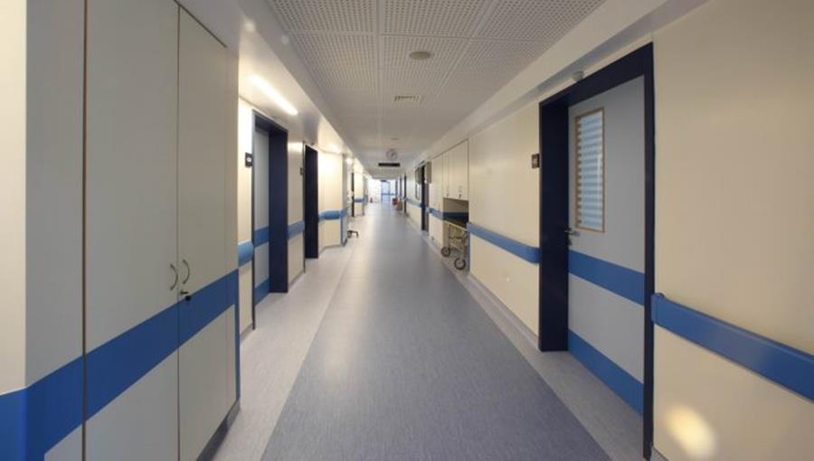 5414257802166558 cats