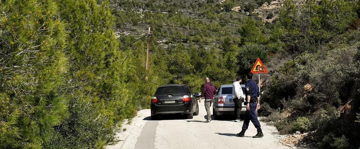 5414451690738791 cats