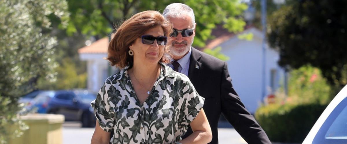 5414456238248308 cats