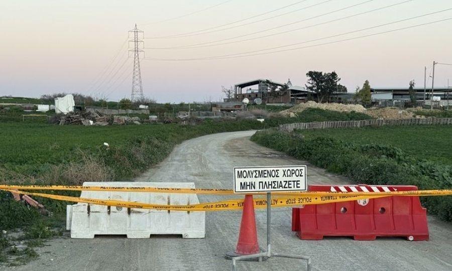 5414963811895344 cats