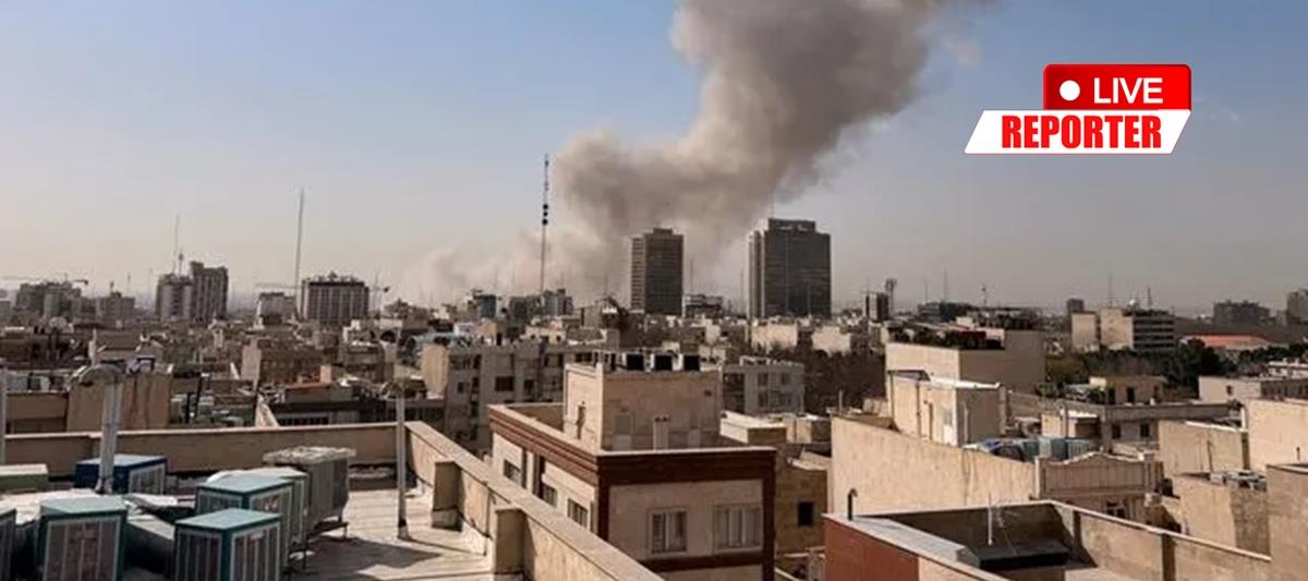 5415006895112155 cats