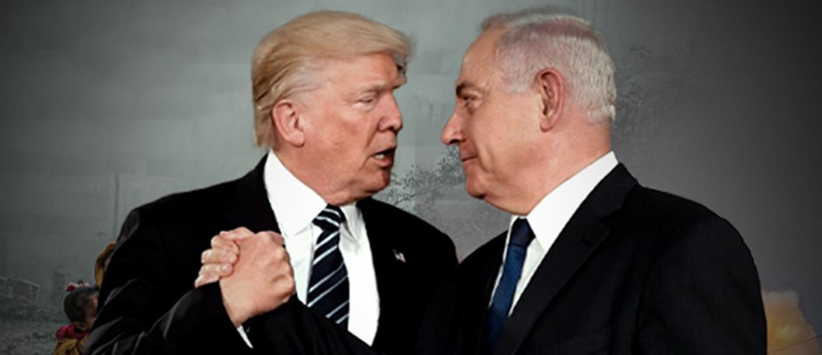 5415075466174665 cats