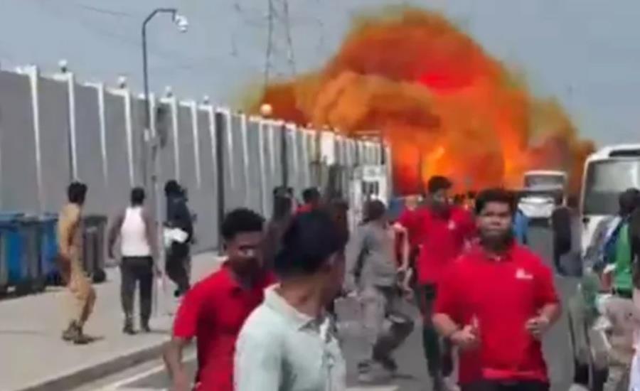 5415288953572518 cats