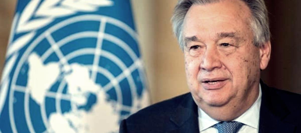 5415589766858046 cats