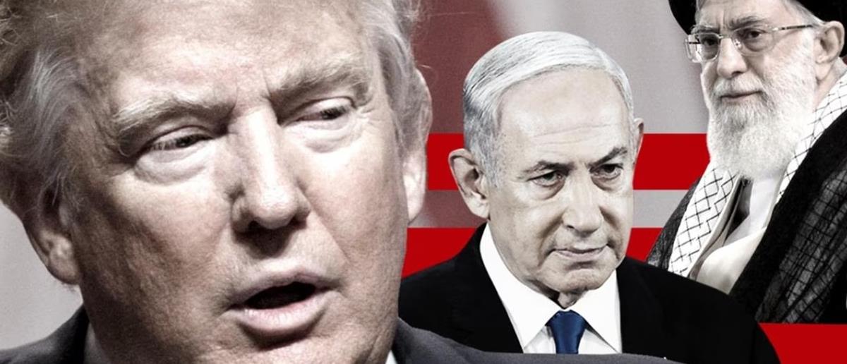 5416227162730119 cats