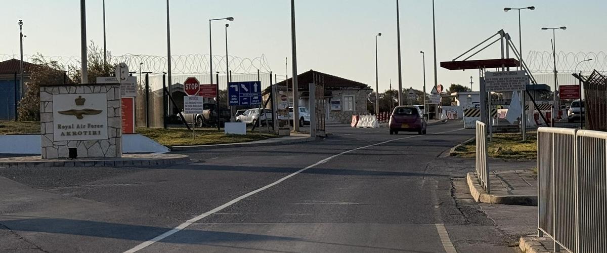 5416756843991154 cats