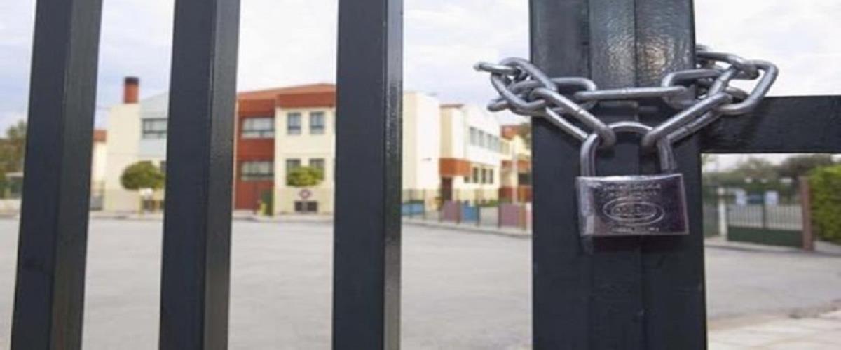 5416763411706966 cats