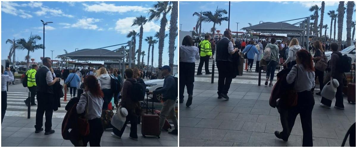 5416882814486592 collage