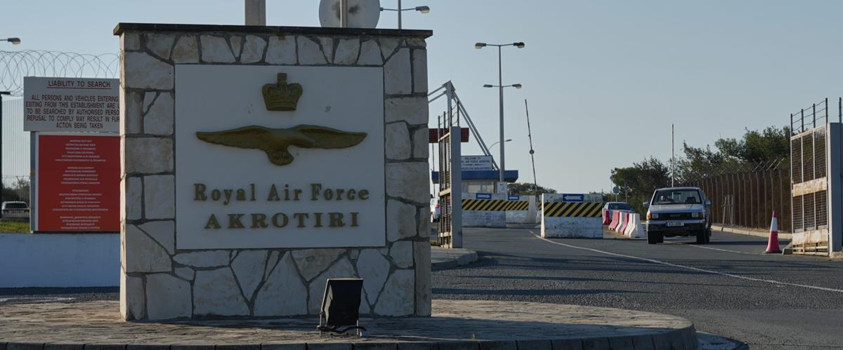 5416953824834256 cats