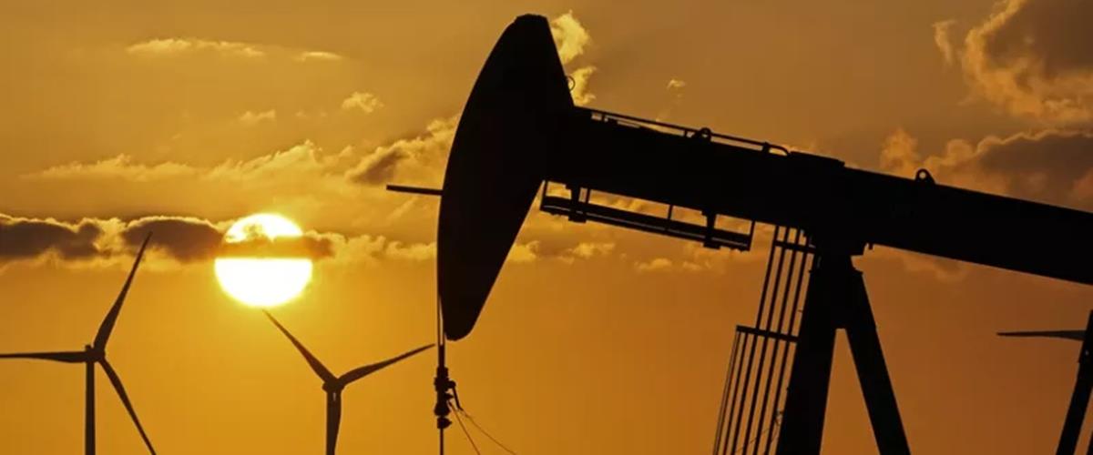 5417020325761699 cats