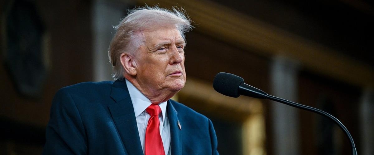 5417056790619367 cats