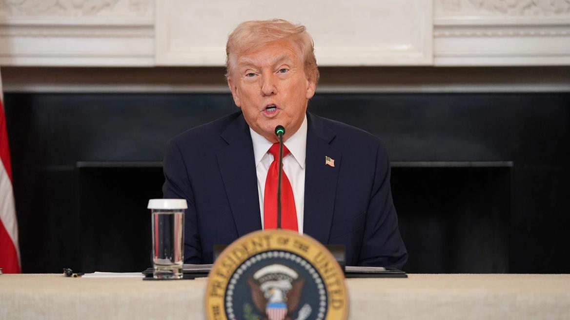 5417563936817040 image