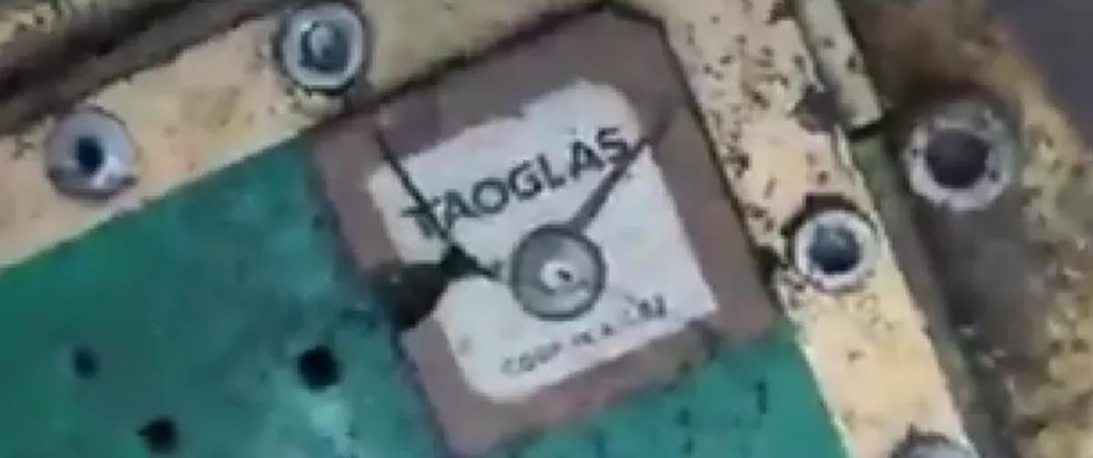 5417689302131019 cats