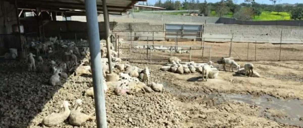 5417793026120889 image