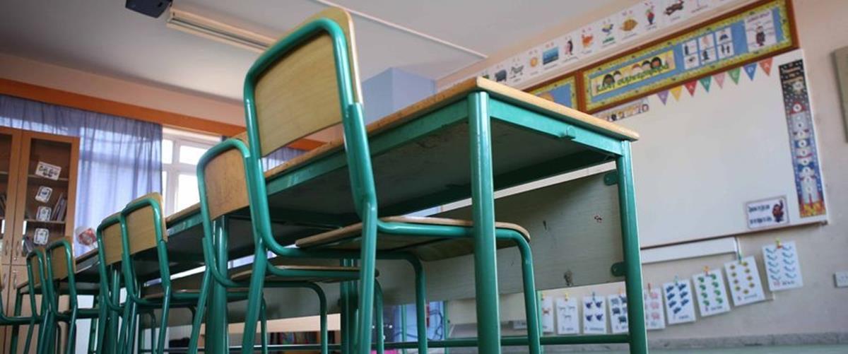 5417928231060086 cats