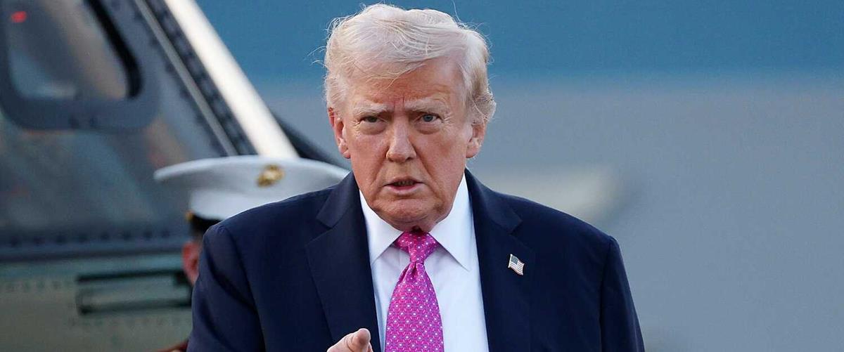 5417938035824730 cats