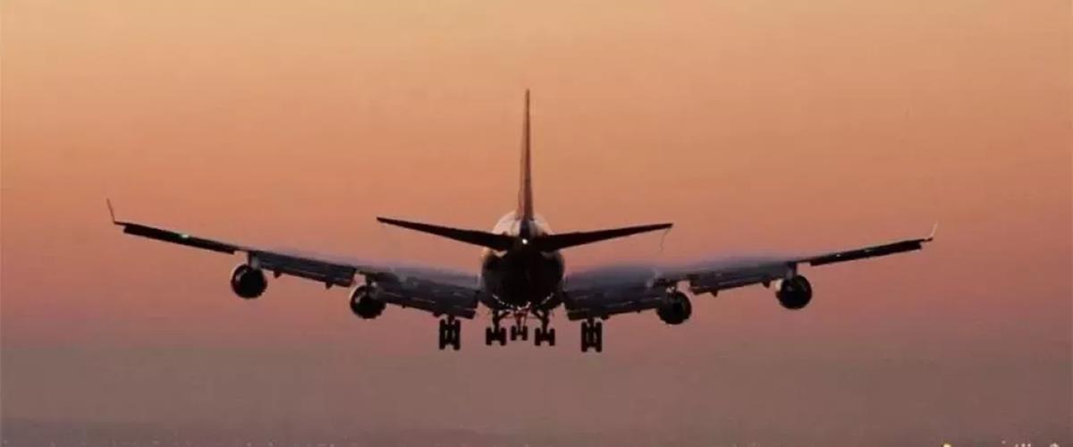 5417955157518731 cats