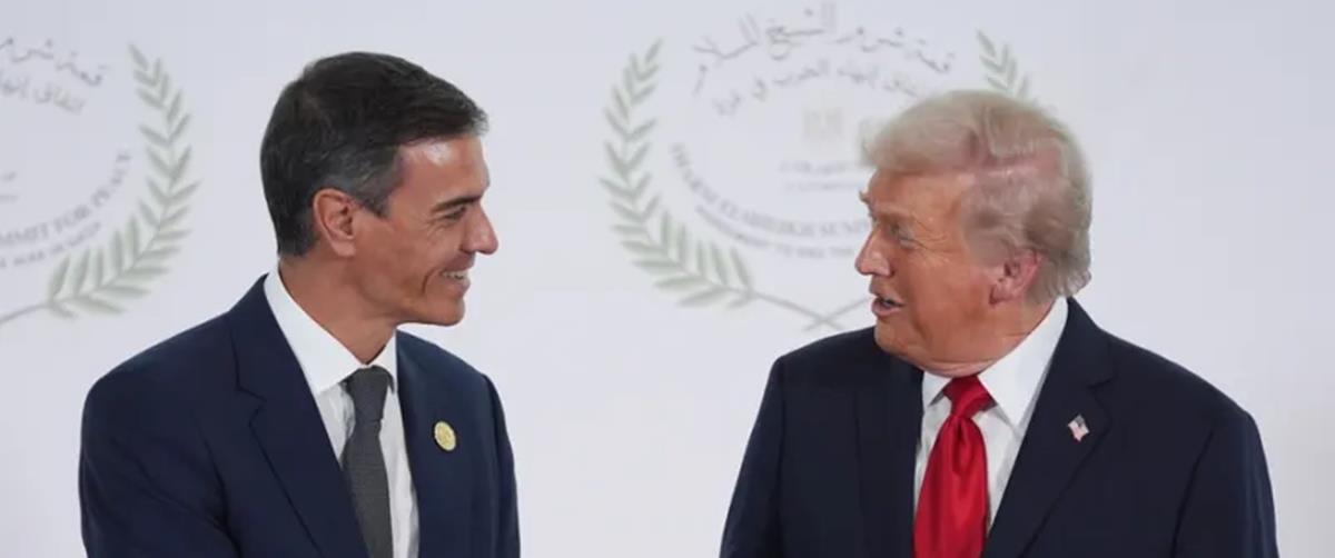 5418056736781902 cats