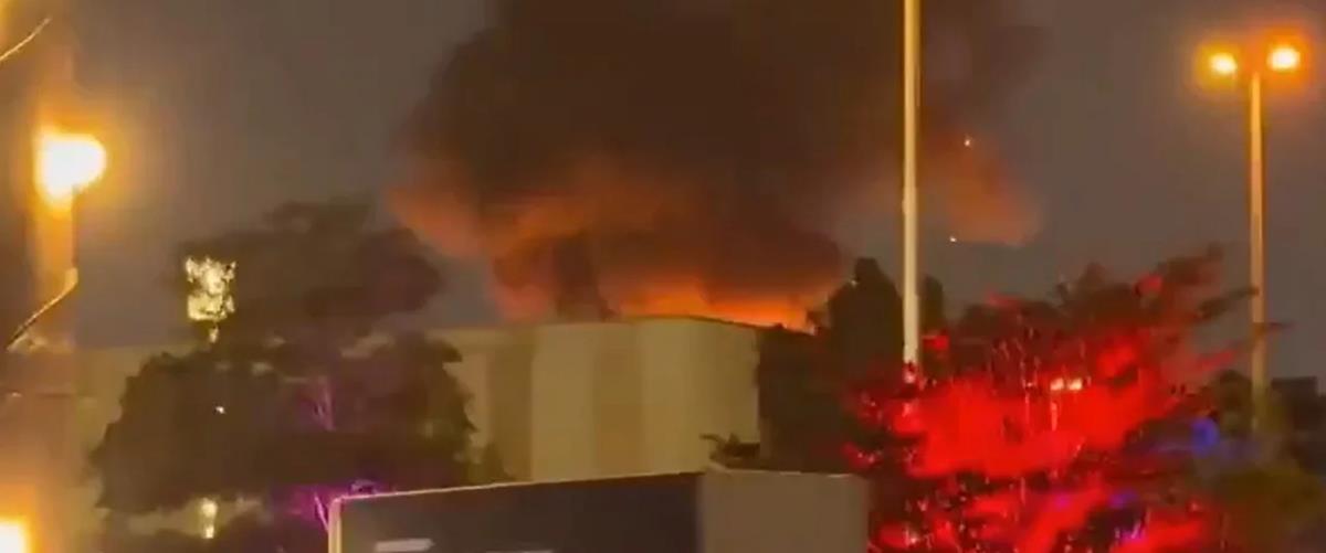 5418088200860094 cats