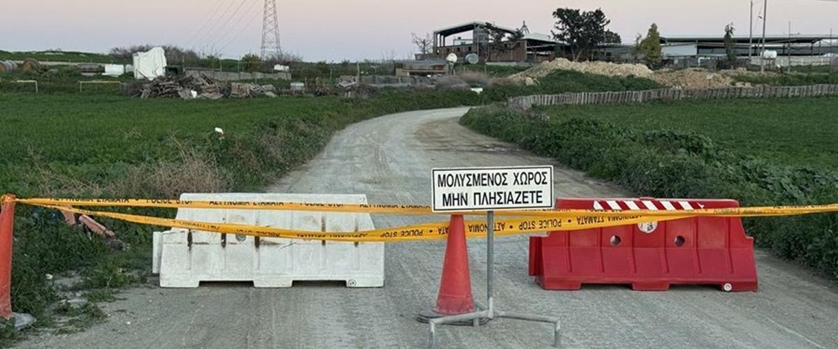 5418585172534672 cats