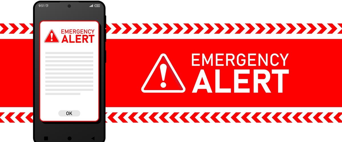 5418733206191742 cats