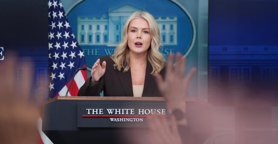 5418912771203848 image