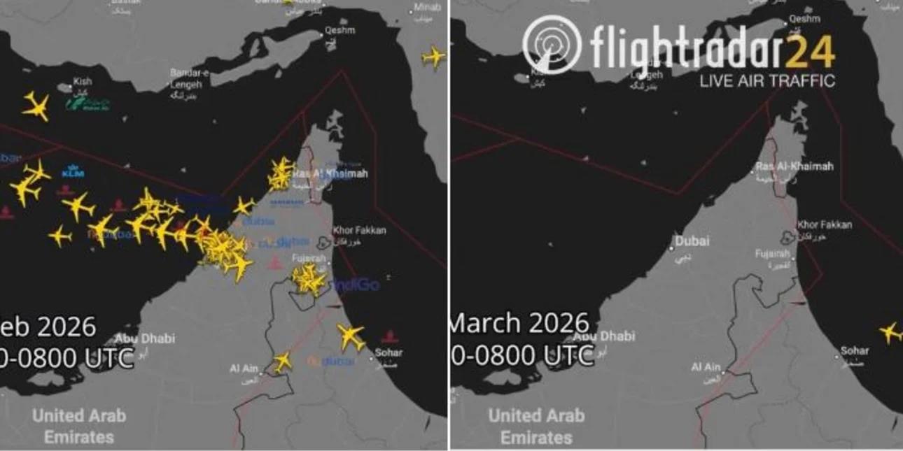 5419005946863281 image